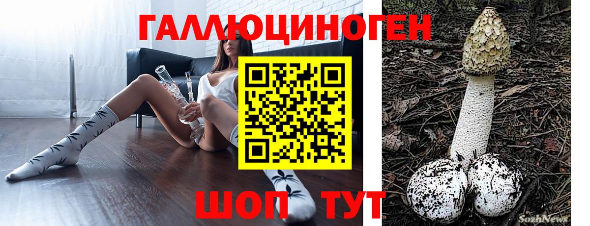 Галлюциногенные грибы мицелий Томск