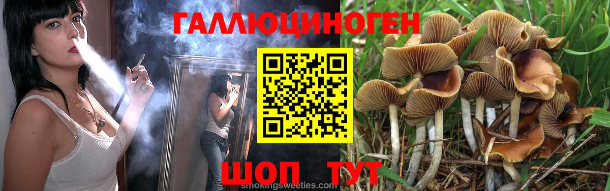 Галлюциногенные грибы Psilocybe  Вход с VPN  Томск 