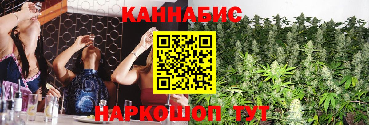 Конопля планчик Томск