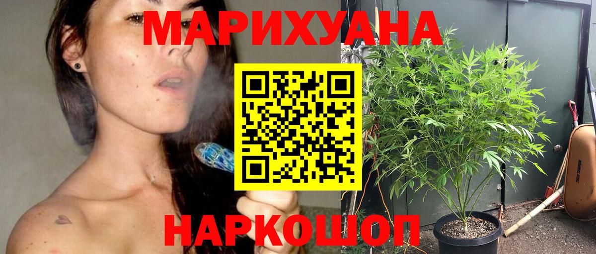 Шишки марихуана индика  Марихуана план  Конопля планчик  Марихуана конопля  Вход с VPN  Томск 